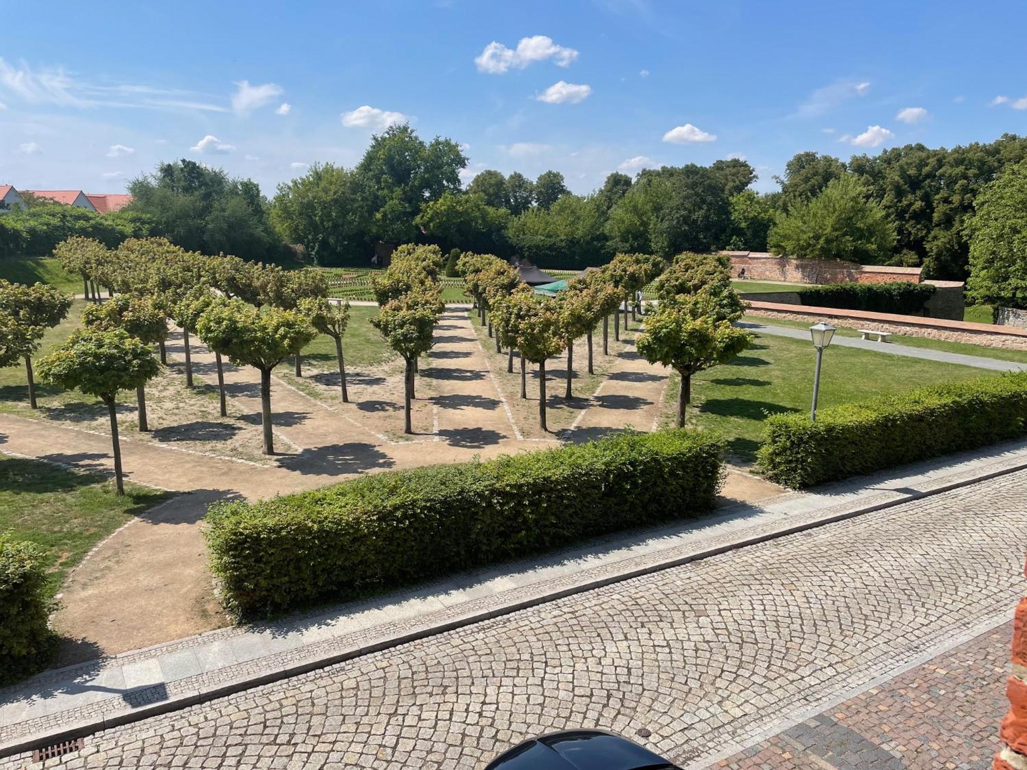 Appartments Zur Schlosswache ดีลิทส์ช ภายนอก รูปภาพ