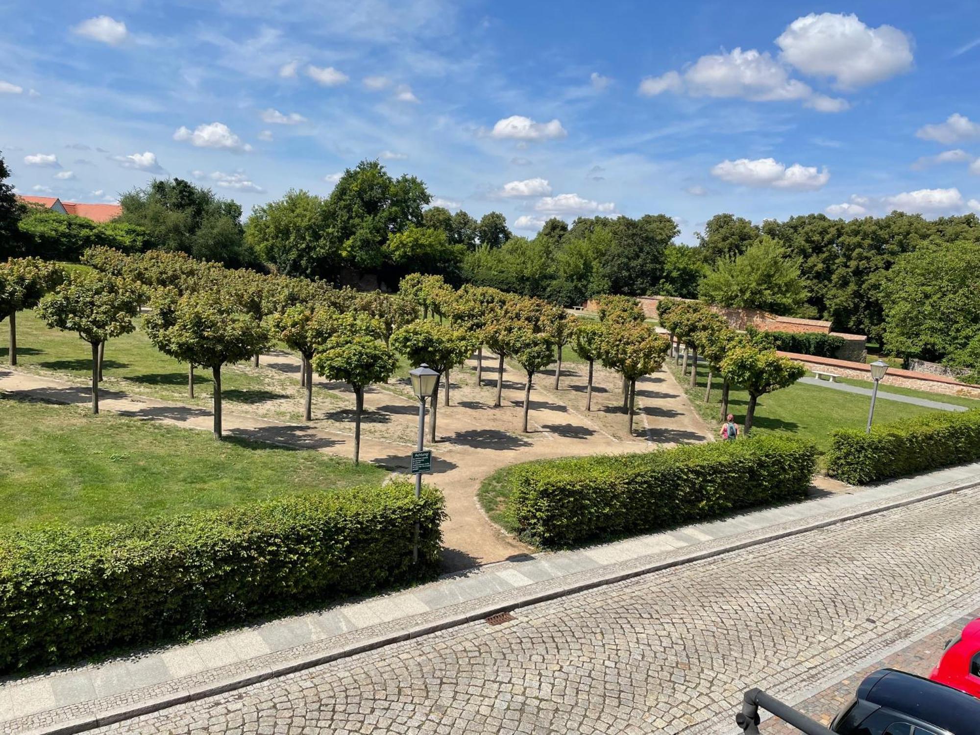Appartments Zur Schlosswache ดีลิทส์ช ภายนอก รูปภาพ